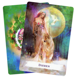 Wicca rituelen & bezweringen orakel