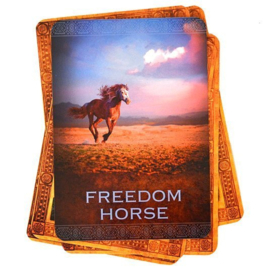 Native Spirit oracle Cards - (Engels)