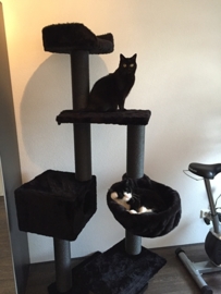 2 kattenvriendjes