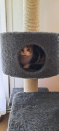 Mila