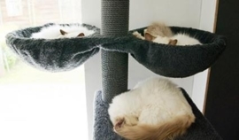 Urby, Verdi, Chanouk, Ollie en Minky