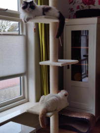 Lodewijck, Finn en Floyd