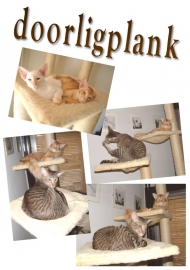 DOORLIGPLANK