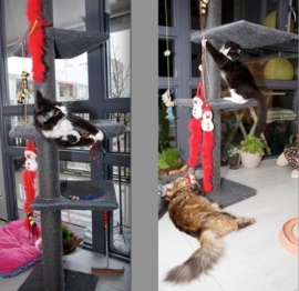 Zoë, Jack, Castello, Emira, Chief en Sylvester