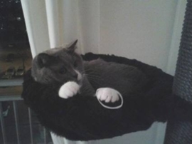 Poekie en Nurr