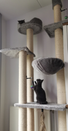 Lola & Ted
