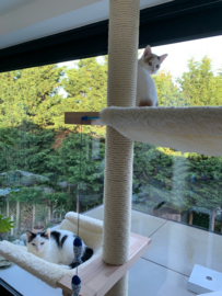 Cleo en Juul