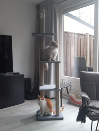 Snowy, Poekie en Tiko