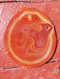 Bloedcarneool Schijf Oranje Agaat  - Edelstenen