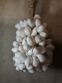 Schelpenhanger - Schelpenslinger  met Witte Schelpen 25 cm