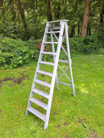 Oude Vintage Schilderstrap Trap Grijs