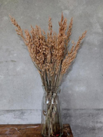 Gedroogde Haver Frosted Zalm Droogbloemen