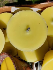 Harspot Tuinkaars Navulling Citronella