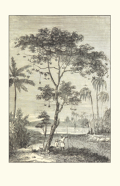 Kaart Ansichtkaart Levensboom - Tree 