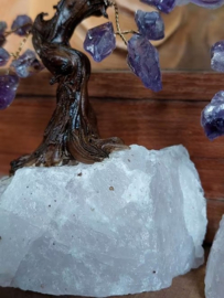 Edelsteen Boom Bonsai Geluksboom Levensboom Amethist