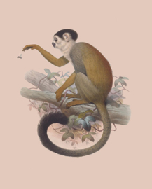 Poster Art Prent Aapje - Monkey