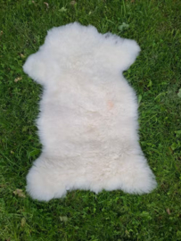 Natuurlijk Schapenvacht  Wit Creme Naturel