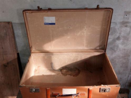 Oude Antiek Vintage Koffer Bruin