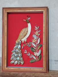 Oude Vintage Lijst Schilderij Schelpenschilderij Vogel Pauw