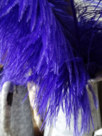 Struisvogelveer Purple - Paars 60-70 cm