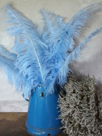 Struisvogelveer Old Blue - Verweerd Blauw 60-70 cm