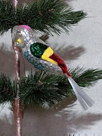 Oude Antieke Kerstbal 7915 Vogel op Clip Parkiet Parrot Papegaai