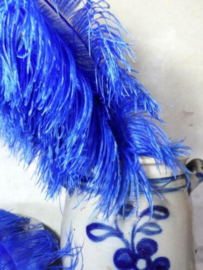 Struisvogelveer Royal Blue - Konings Blauw 60-70 cm