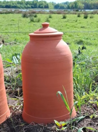 Bleekpot Rabarberpot naar Oud Victoriaans Model - XXL