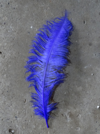 Struisvogelveer Purple - Paars 60-70 cm