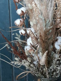 Gemengd Droogboeket Droogbloemen XL Grassen Pampas Katoen