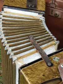 Oude Vintage Muziek Trekharmonica Accordeon in Koffer