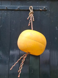 Oude Vintage Visnet Drijver aan Touw