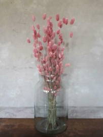 Gedroogde Bos Phalaris Frosted Roze Droogbloemen