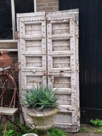 Oude Antieke Indiase Set Dubbele Deuren Poort Wit