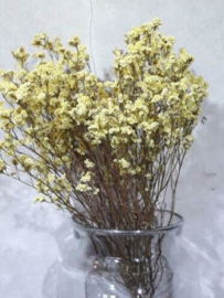 Gedroogde Droogbloemen Bos  Limonium Sinensis Geel