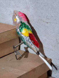 Oude Antieke Kerstbal 8673 Vogel op Clip Parkiet Parrot Papegaai Kaketoe