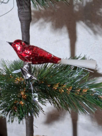 Oude Antiek Vintage Kerstbal 10390 Vogel op Clip