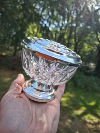Oude Vintage Engelse Pique Fleur Flowerbowl Bloemensteker Kristal