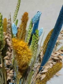 Gemengd DroogBoeket Droogbloemen Bos Lentegroen met Geel