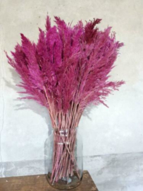 Gedroogde Riet Pluimen Cerise Roze 5st