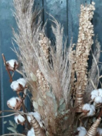 Gemengd Droogboeket Droogbloemen XL Grassen Pampas Katoen