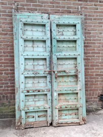 Oude Antieke Indiase Set Dubbele Deuren Poort Groen