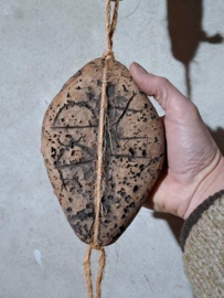 Oude Antieke Zweedse Kurken Drijvers aan Touw