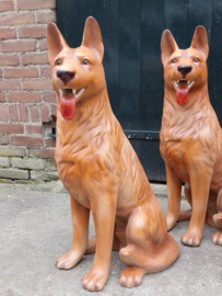 Oude Vintage Hond Herdershond Etalagemateriaal