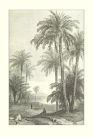 Kaart Ansichtkaart Palmbos - Palm Haeven