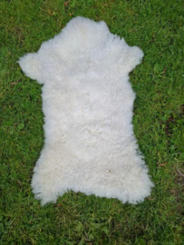 Natuurlijk Schapenvacht  Wit Creme Naturel