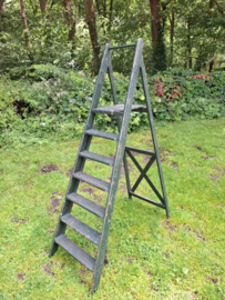 Oude Vintage Schilderstrap Trap Groen