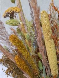 Gemengd Droogboeket Droogbloemen Geel Naturel Terra