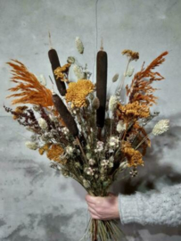 Gemengd Droogboeket Droogbloemen Naturel Typha Pluimen