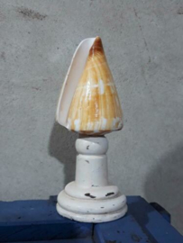 Conus Caramel 9-10 cm Grote Schelp op Sokkel